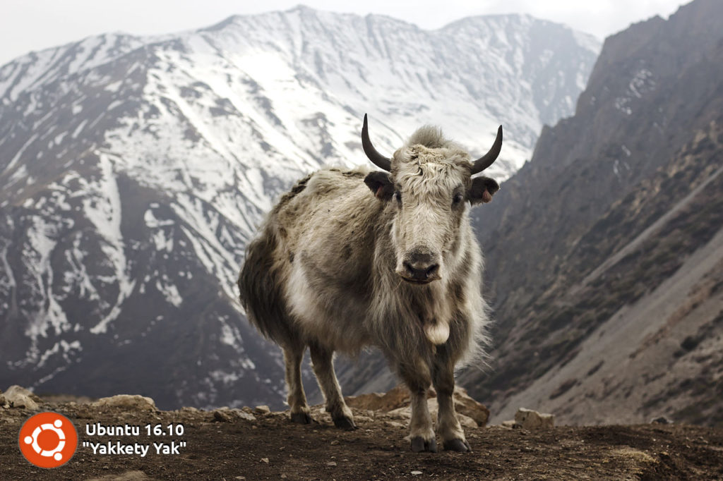 ubuntu-16-10-yakkety-yak-logo