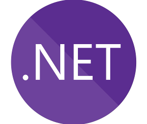 .NET Framework 4.8