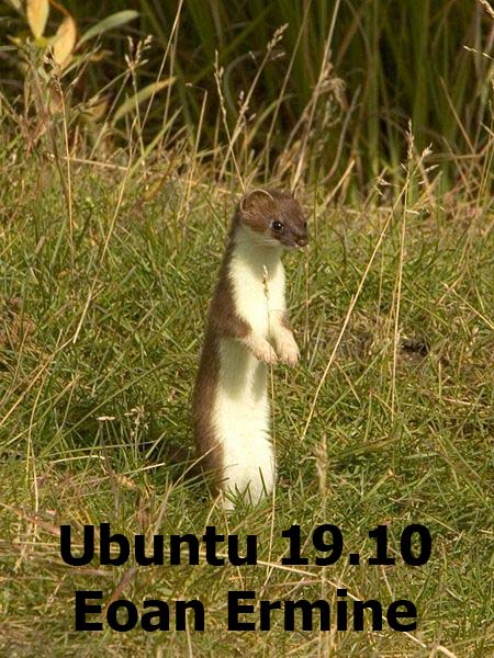 Ubuntu 19.10