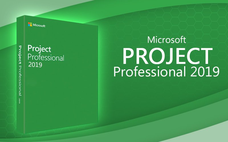 Project professional 2019