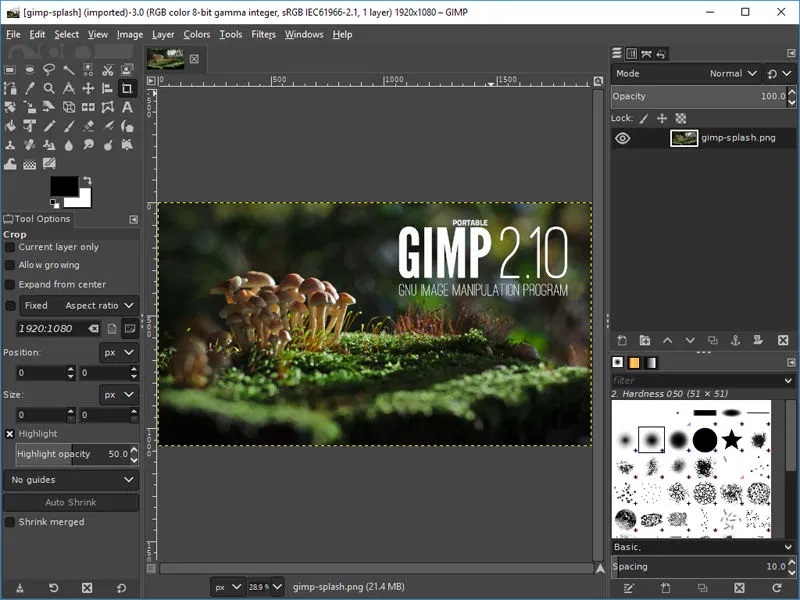 gimp editores de fotos