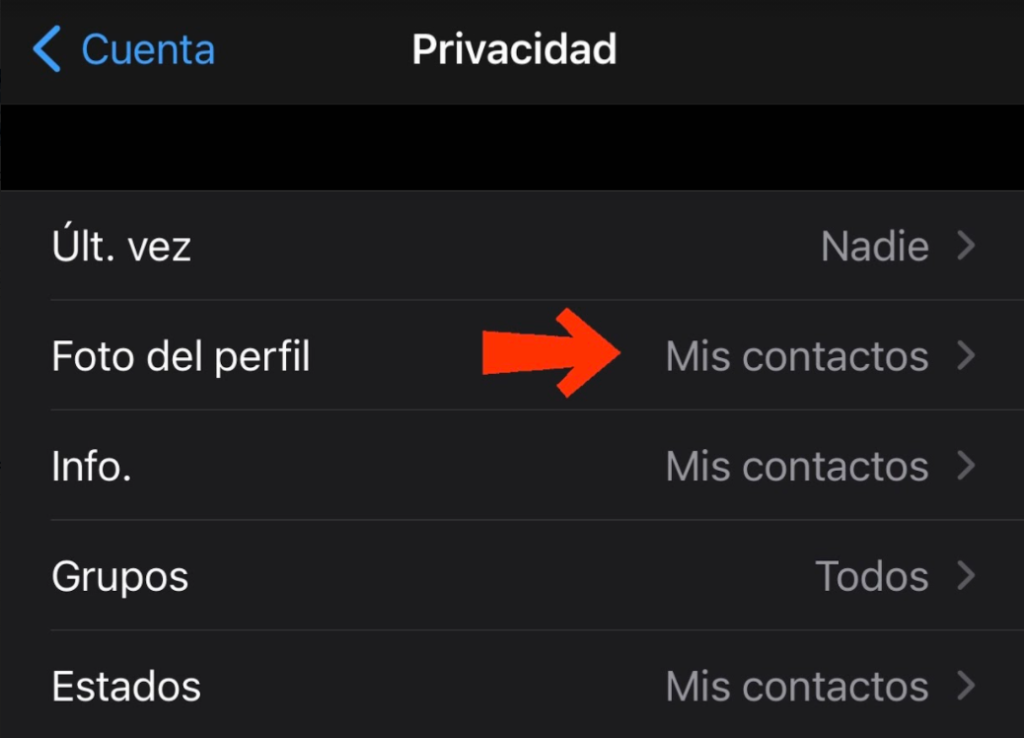 elementos privacidad whatsapp