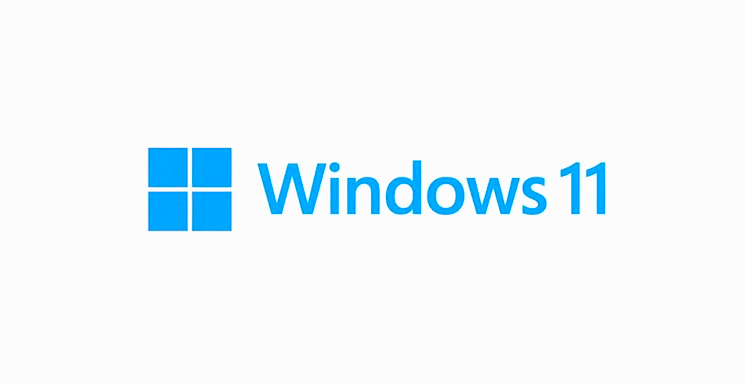 windows 11